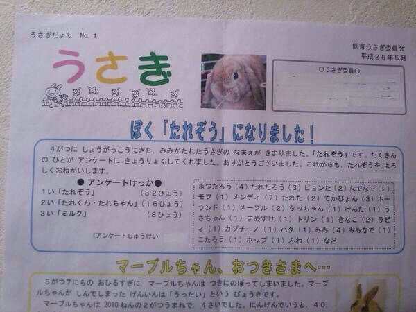 朗報 小学校 うさぎの名前 たれぞうに決定しました 大物youtuber速報 朗報 小学校 うさぎの名前 たれぞうに決定しました 大物youtuber速報