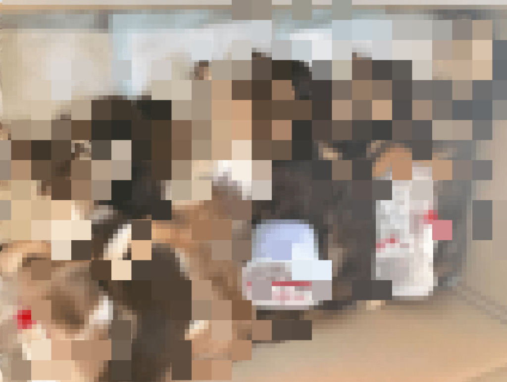 あなまろ家族最強のまんさん 自分の命より大切な存在 大物youtuber速報