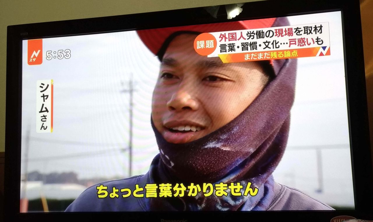 大物Youtuber速報テレビにシャムさんが出演して農家として働いていたことが判明するw コメント欄👽コメントinじゃねーの!? 誹謗中傷は控えめにお願いしますウウウ海外から大量にアンチコメントが来るため英数字のみのコメントは反映されません。