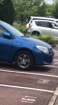 syamu運転RAV4a