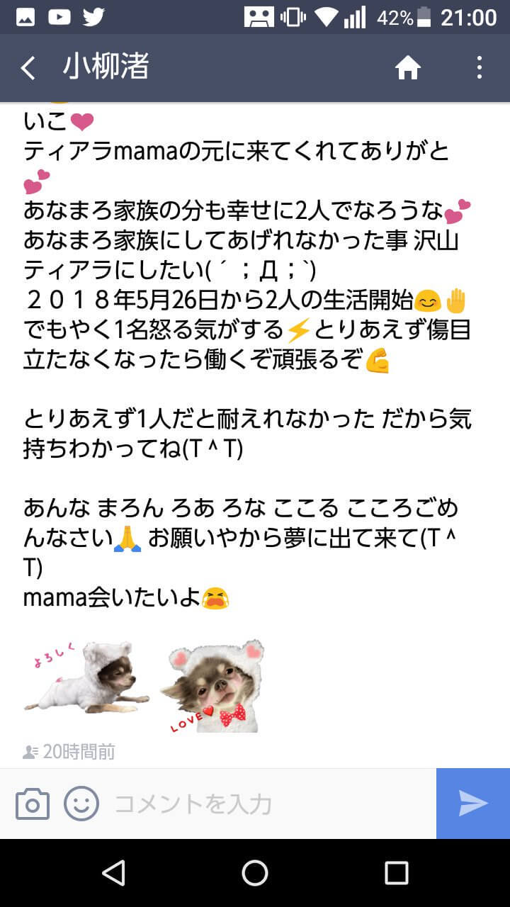 悲報 チワワ6匹蒸し焼きおばさん また犬を飼い始める 大物youtuber速報 悲報 チワワ6匹蒸し焼きおばさん また犬を飼い始める 大物youtuber速報
