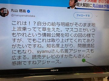 syamu丸山穂高