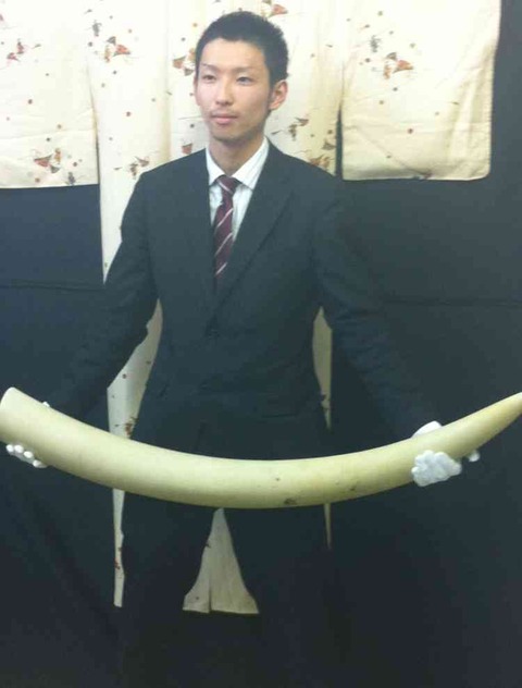 ヒカル