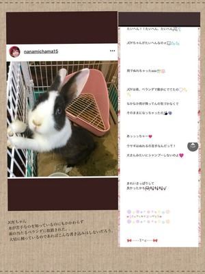 山田香織 りぉん まとめ アイドルデビューを狙う糖質激ヤバおばさん 大物youtuber速報 山田香織 りぉん まとめ アイドルデビューを狙う糖質激ヤバおばさん 大物youtuber速報