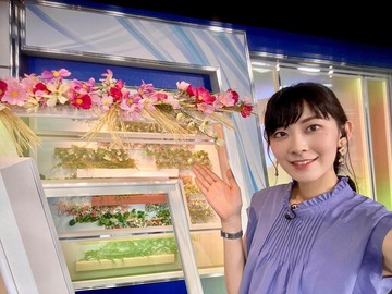 hiyamasaya