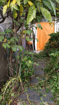 aiueo700岩間好一