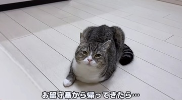もちまる日記