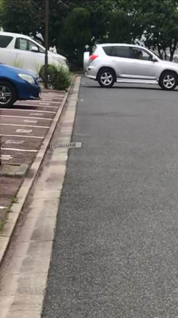 Rav4 大物youtubeｒ速報