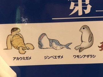 野獣先輩空手部