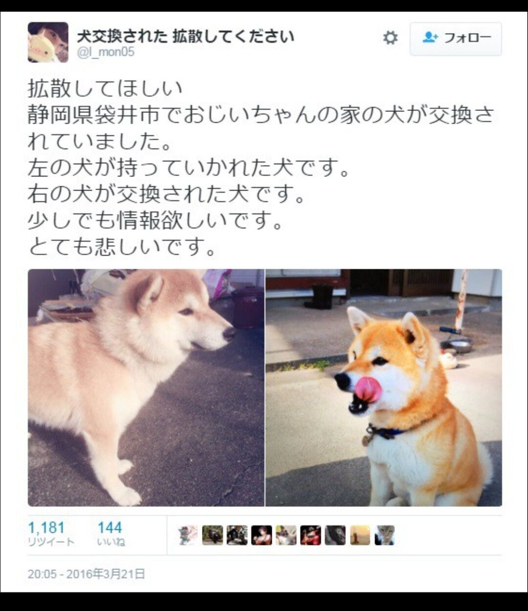 犬を交換されてしまったツイッター民w 大物youtubeｒ速報
