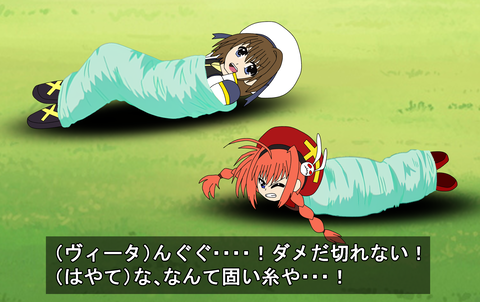 蜘蛛というdidに最適すぎる生き物 蜘蛛糸拘束の話 大繩のdid小話