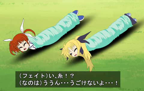 蜘蛛というdidに最適すぎる生き物 蜘蛛糸拘束の話 大繩のdid小話