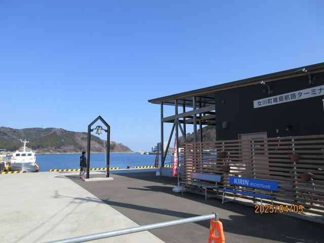 送料込】 クジラの歯（石巻市鮎川港） 金華山 鯨の貯金箱おまけ