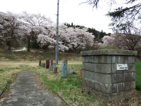 DSCF5230