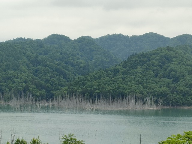 IMG20230617123217