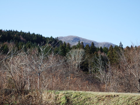 DSCF3448