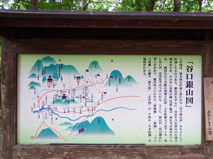 DSCF8741