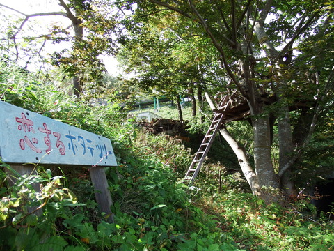 DSCF7139