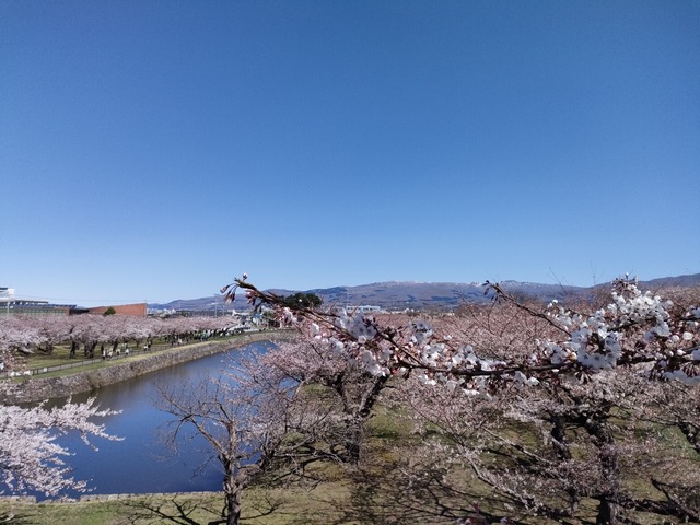 IMG20240422094453