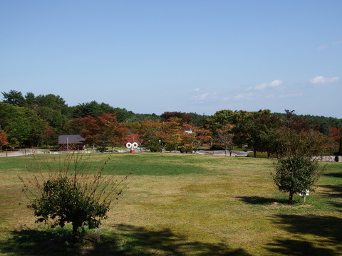 DSCF7172