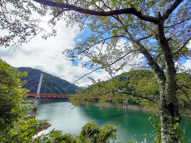 IMG20241009091652