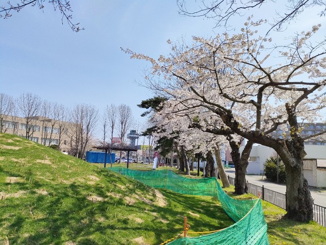IMG20230425090502