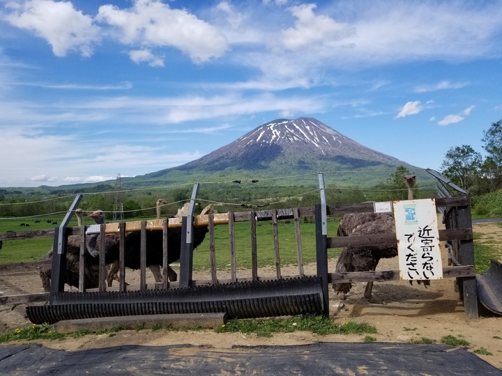 20190524_150039