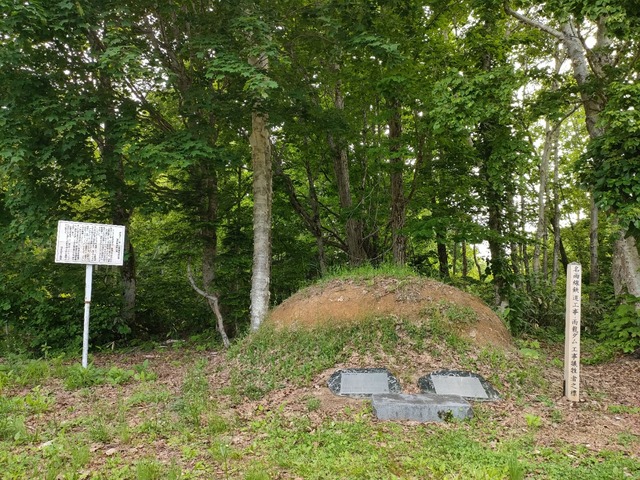 IMG20260611152023