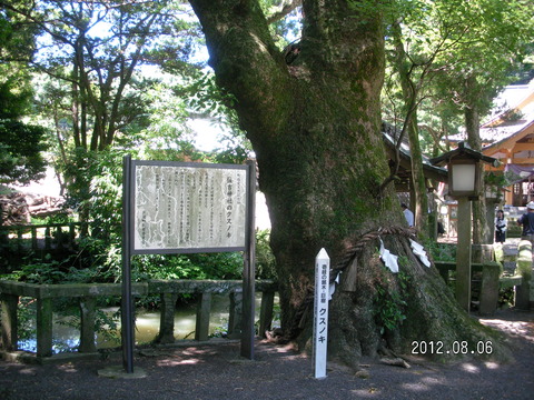 RIMG0662