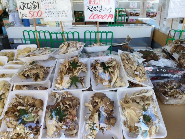 IMG20241013100610