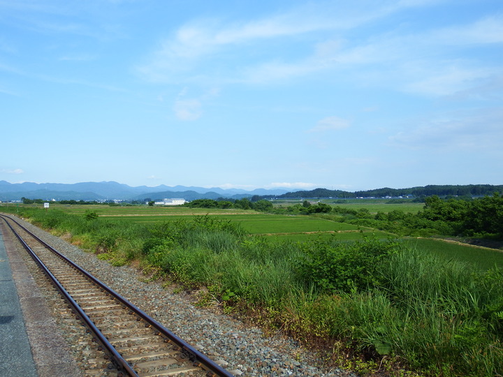 DSCF8736