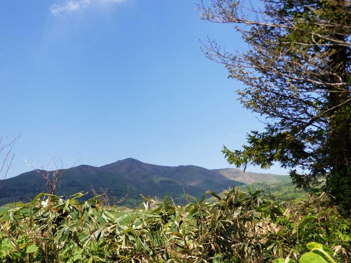 20190522_113821