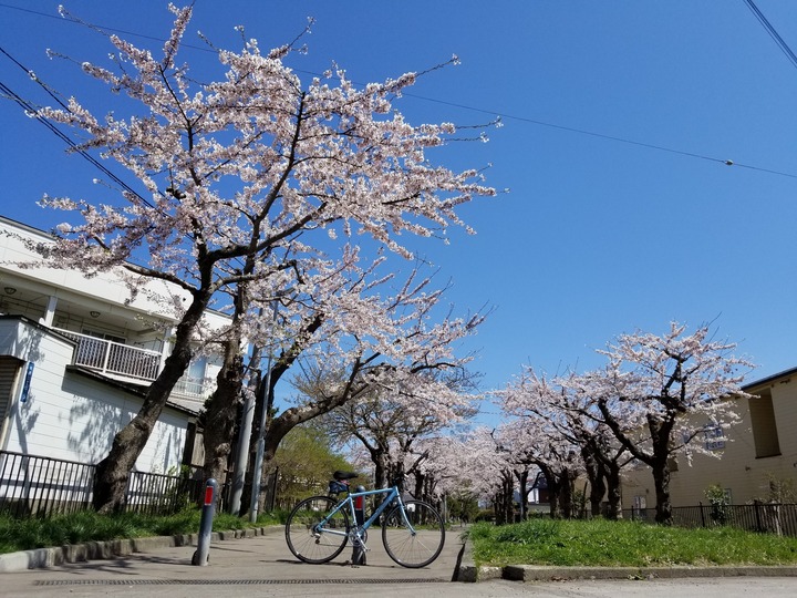 20190428_125036