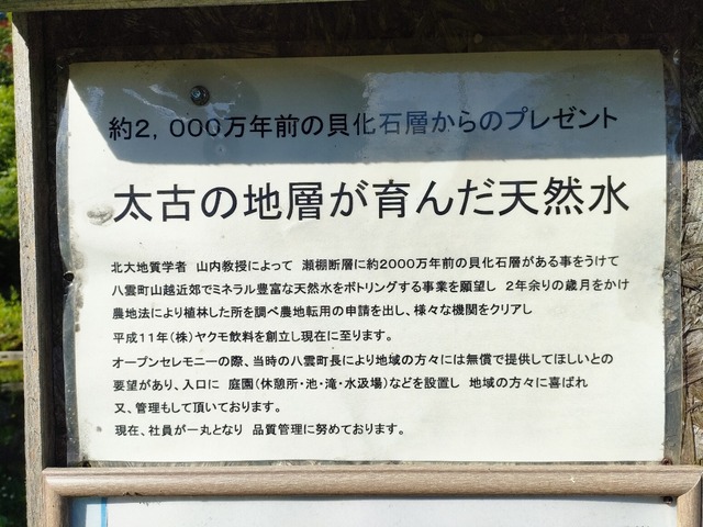 IMG20250707072209