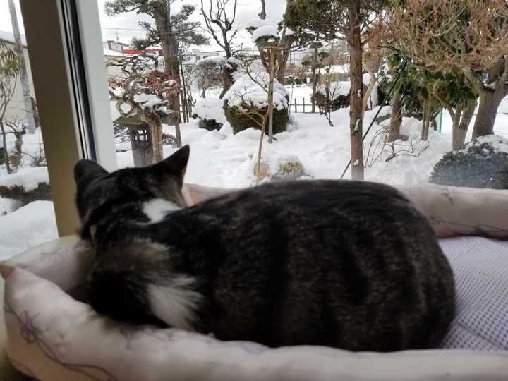 20190110_100328