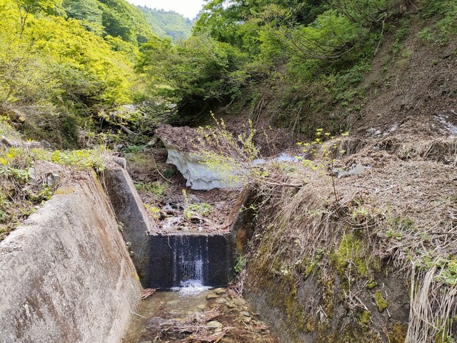 IMG20230521101506