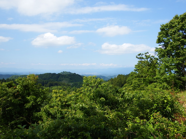 DSCF8729