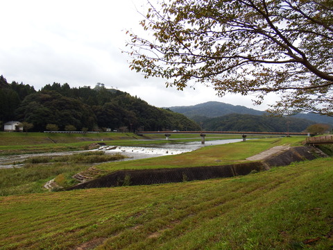 DSCF6671