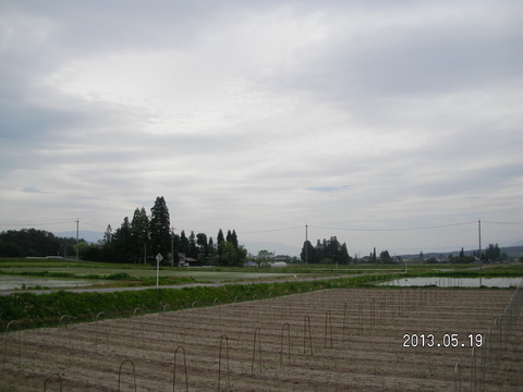 RIMG1802