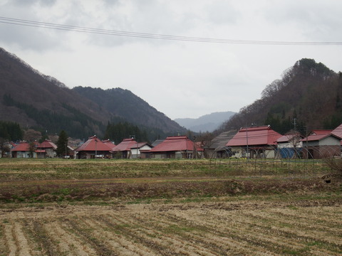 DSCF5075