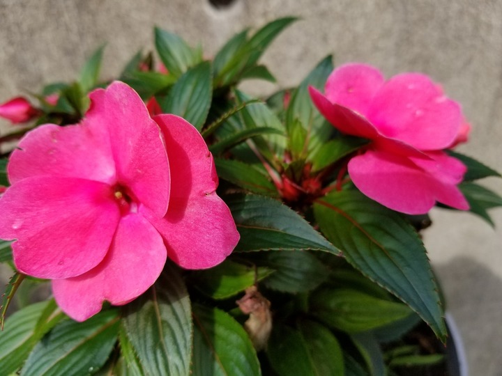 20190730_083141
