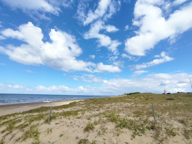 IMG20241011110743