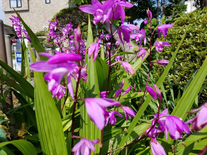 20190619_082437