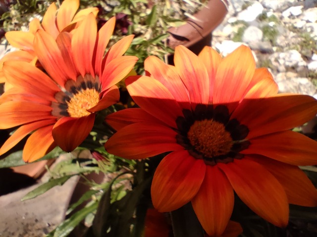 IMG20220910114106
