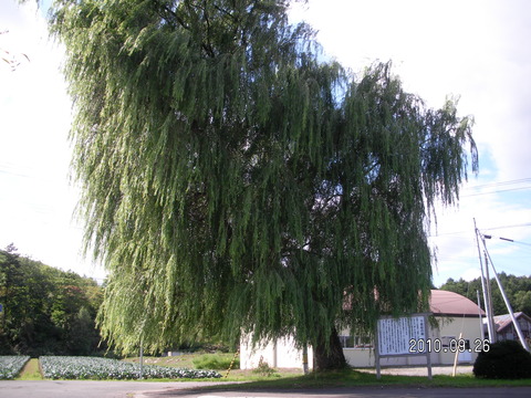 27 今金町、せたな町　廃校巡り　車で 083