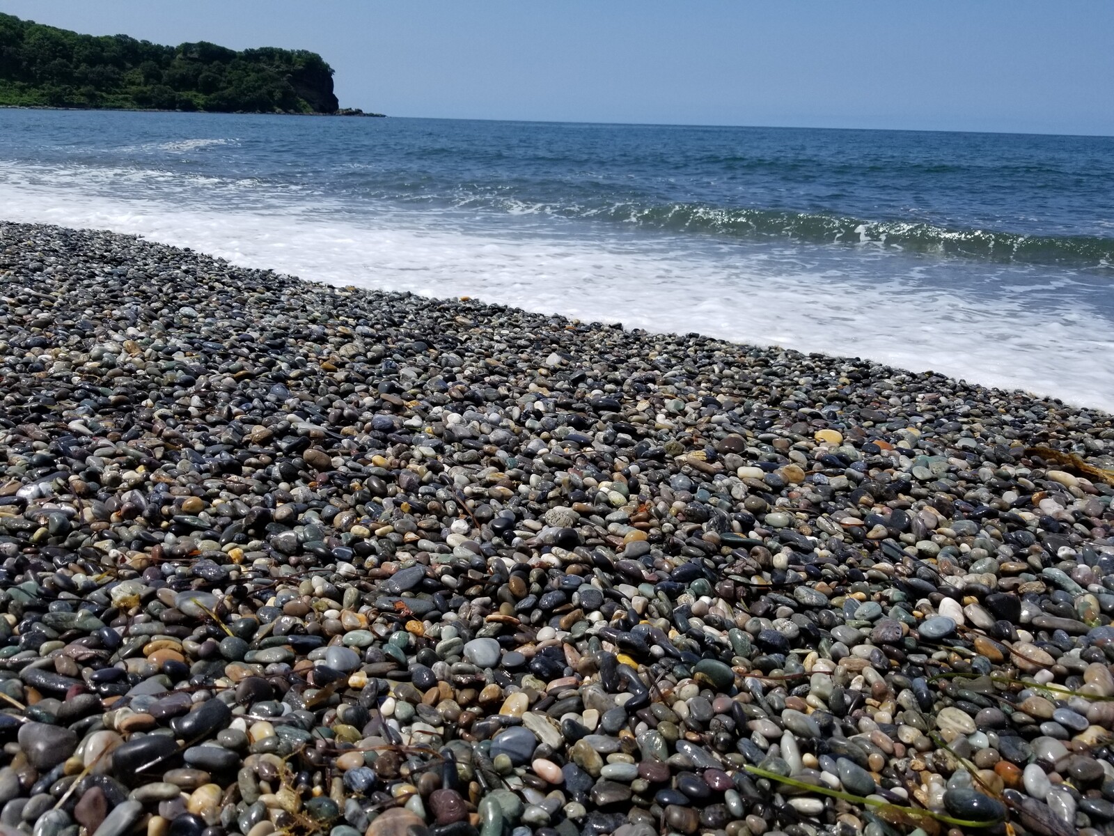 キレイな石を拾いに江ノ島海岸へ❗ : 函館発 ぼうけんの旅