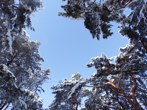 DSCF7194