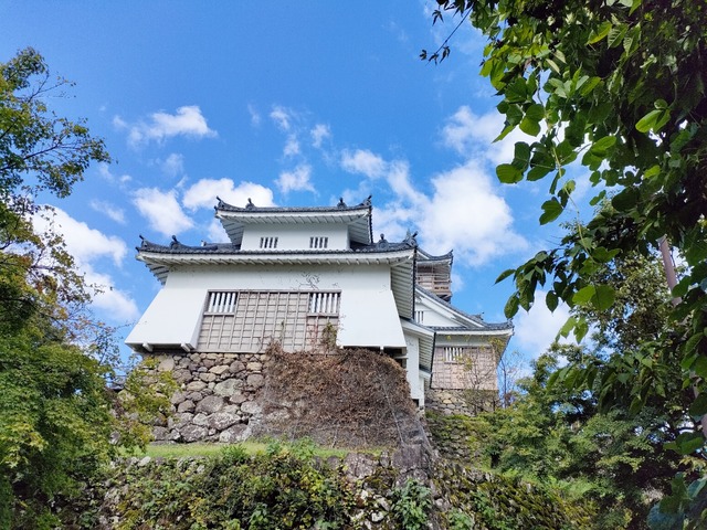 IMG20241009121347