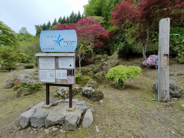 IMG20260525084306