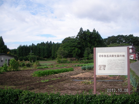 RIMG2286